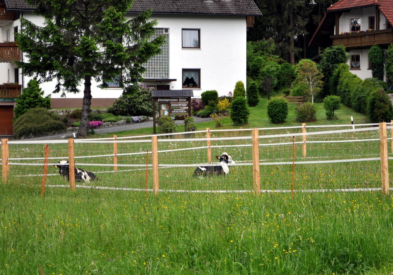 Ferienhaus Mueller Warmensteinach Exterior foto